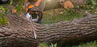 Best Lawn Irrigation Installation and Maintenance  in Altamont, OR